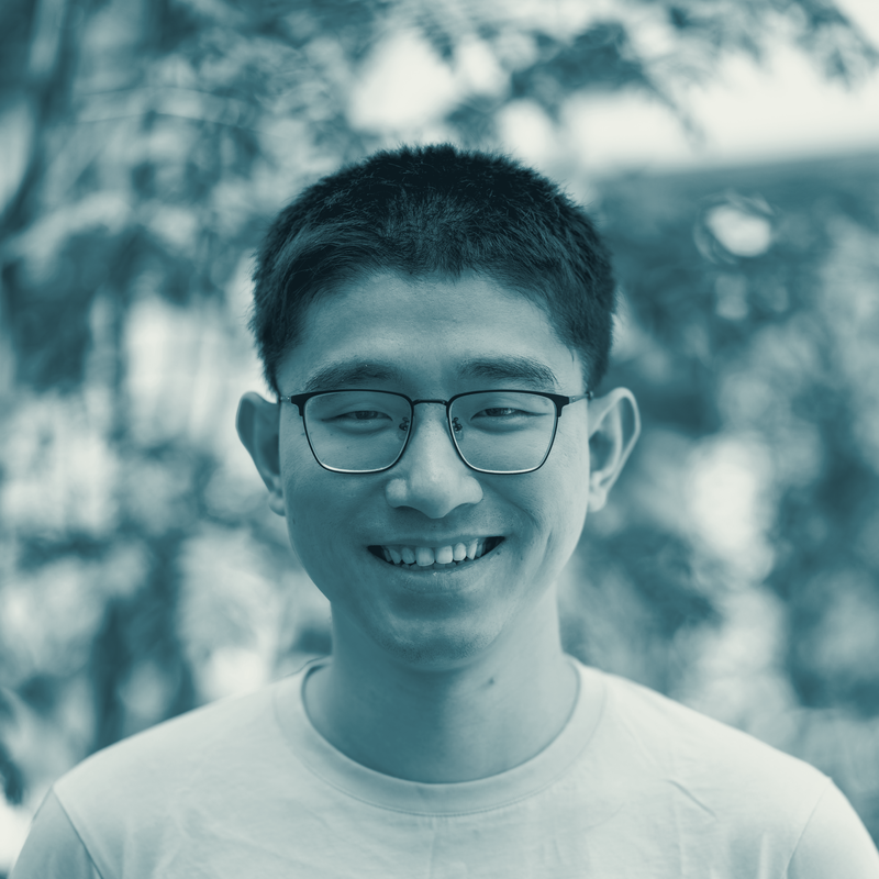 Ye Hong